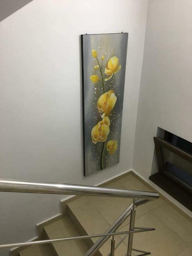 Hotel Elegance Costineşti Exteriér fotografie